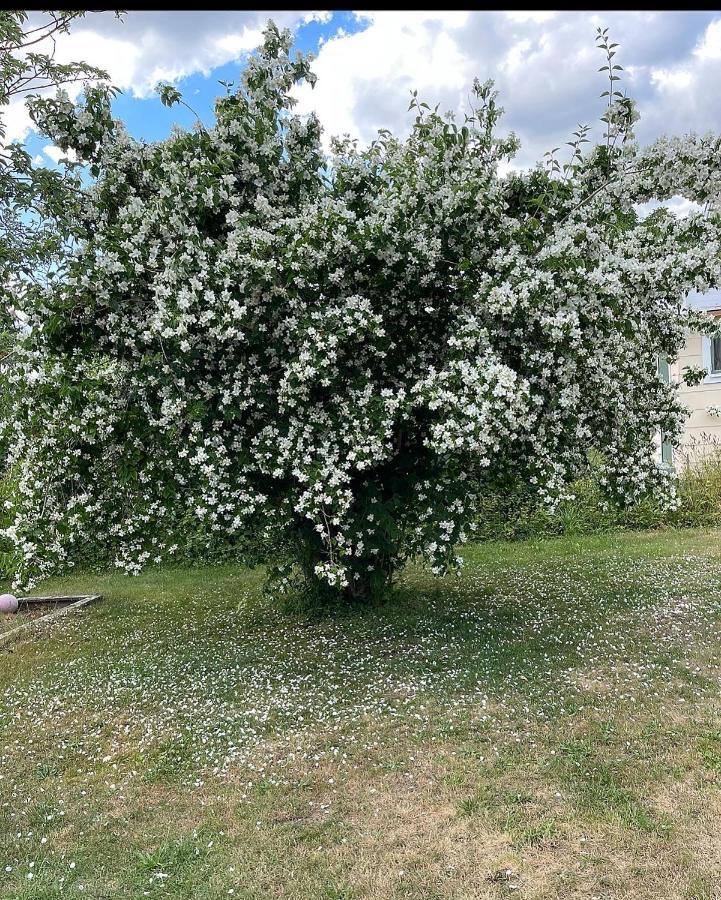 Vandrerhjem Bergkvara Vandrarhem